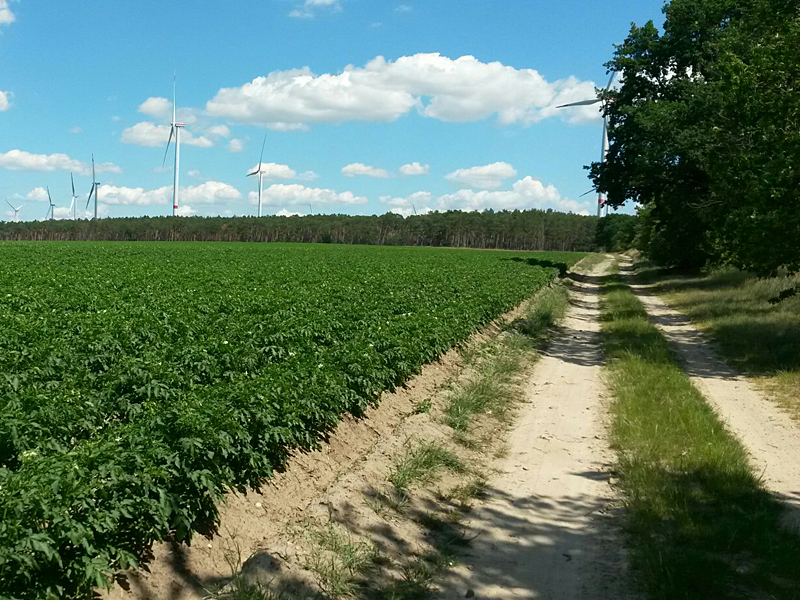 Von Dahme (Mark) nach Drahnsdorf