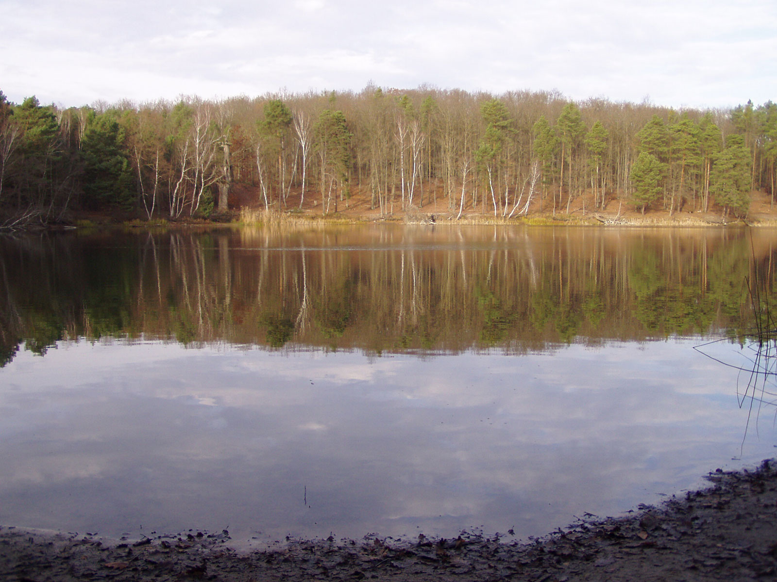 Über den Wietkiekenberg nach Petzow