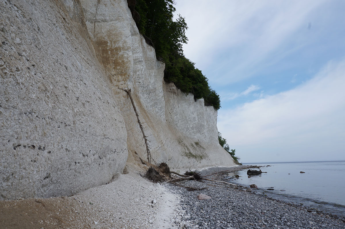 Wandern auf Rügen: Kreidefelsen im Nationalpark Jasmund