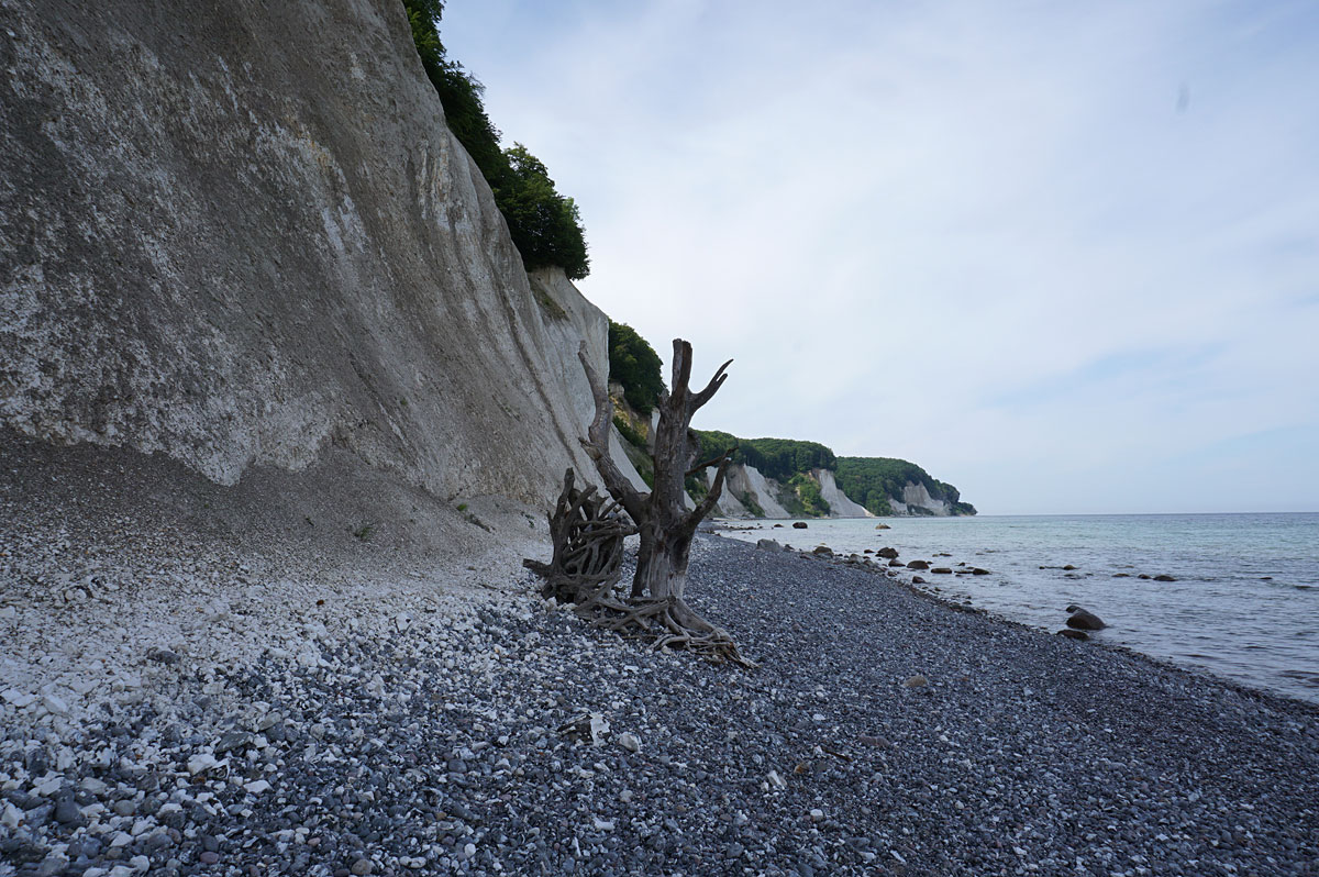 Wandern auf Rügen: Kreidefelsen im Nationalpark Jasmund