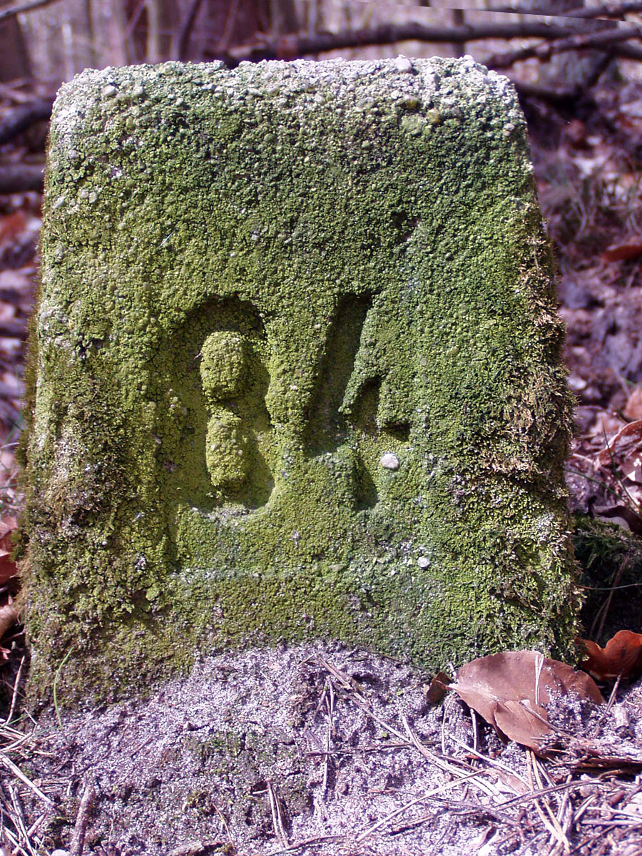 Wanderung von Altkünkendorf zur Glambecker Mühle