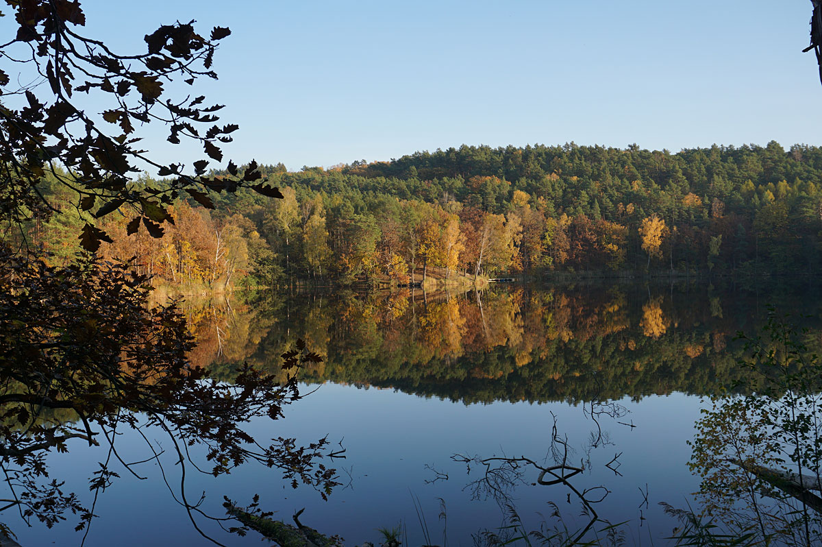 Wanderung um die Heideseen und auf den Wehlaberg bei Köthen
