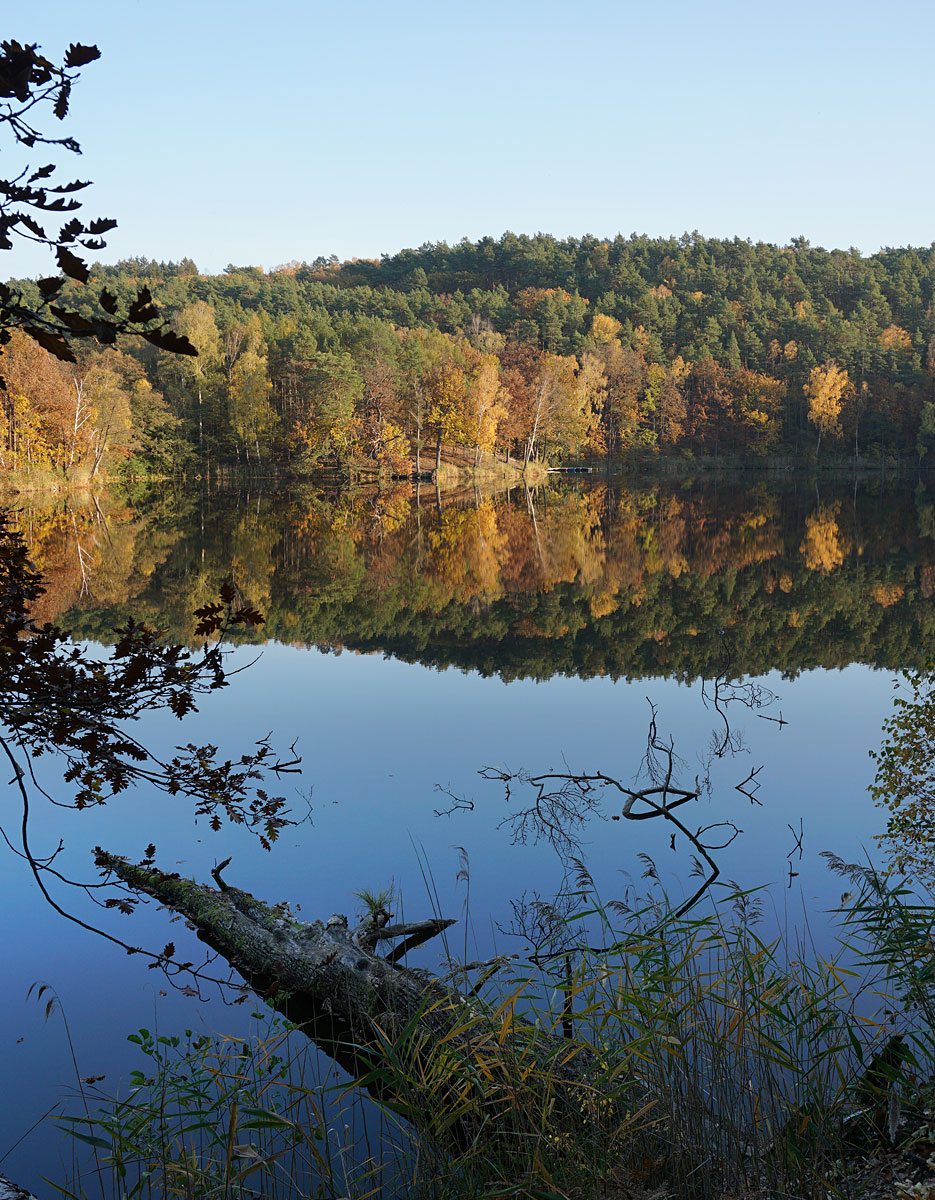Wanderung um die Heideseen und auf den Wehlaberg bei Köthen