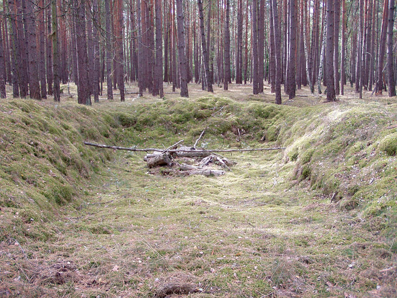 Kleine Schorfheide ab Hammelspring