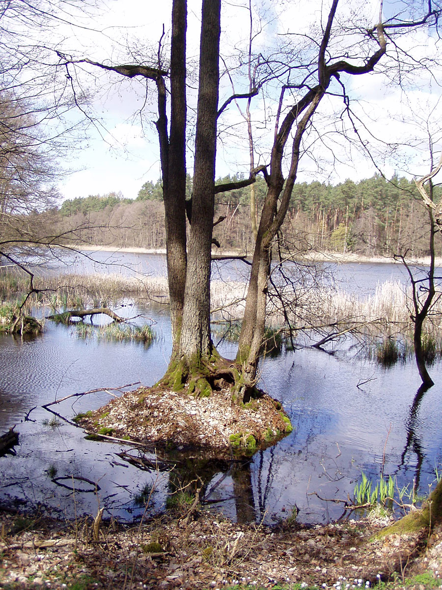 Wanderung von Altkünkendorf zur Glambecker Mühle Wanderung von Altkünkendorf zur Glambecker Mühle