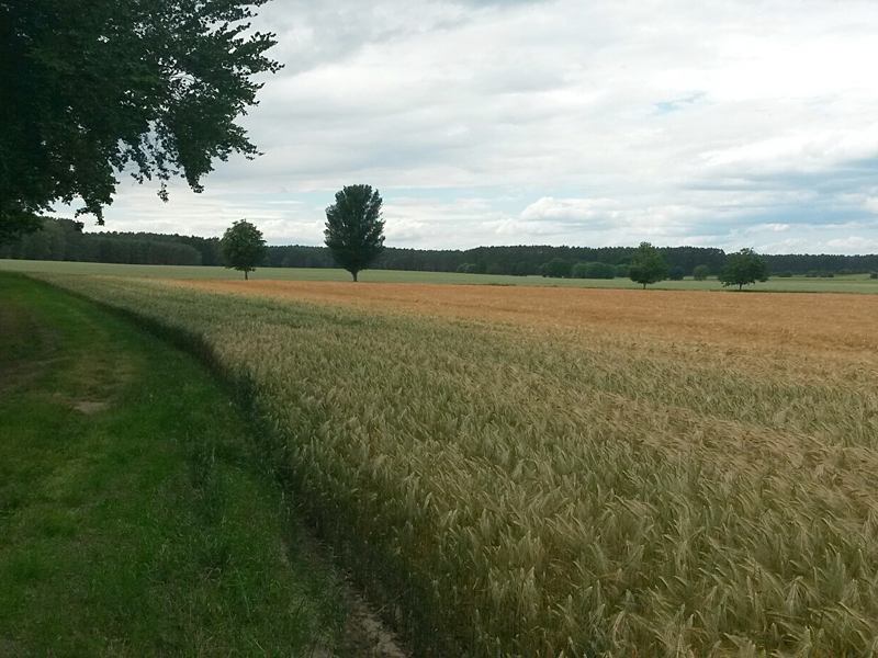 Von Dahme (Mark) nach Drahnsdorf
