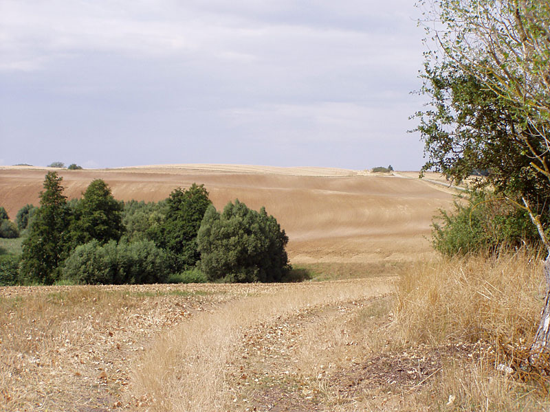 Von Grünberg nach Brüssow (Uckermark)