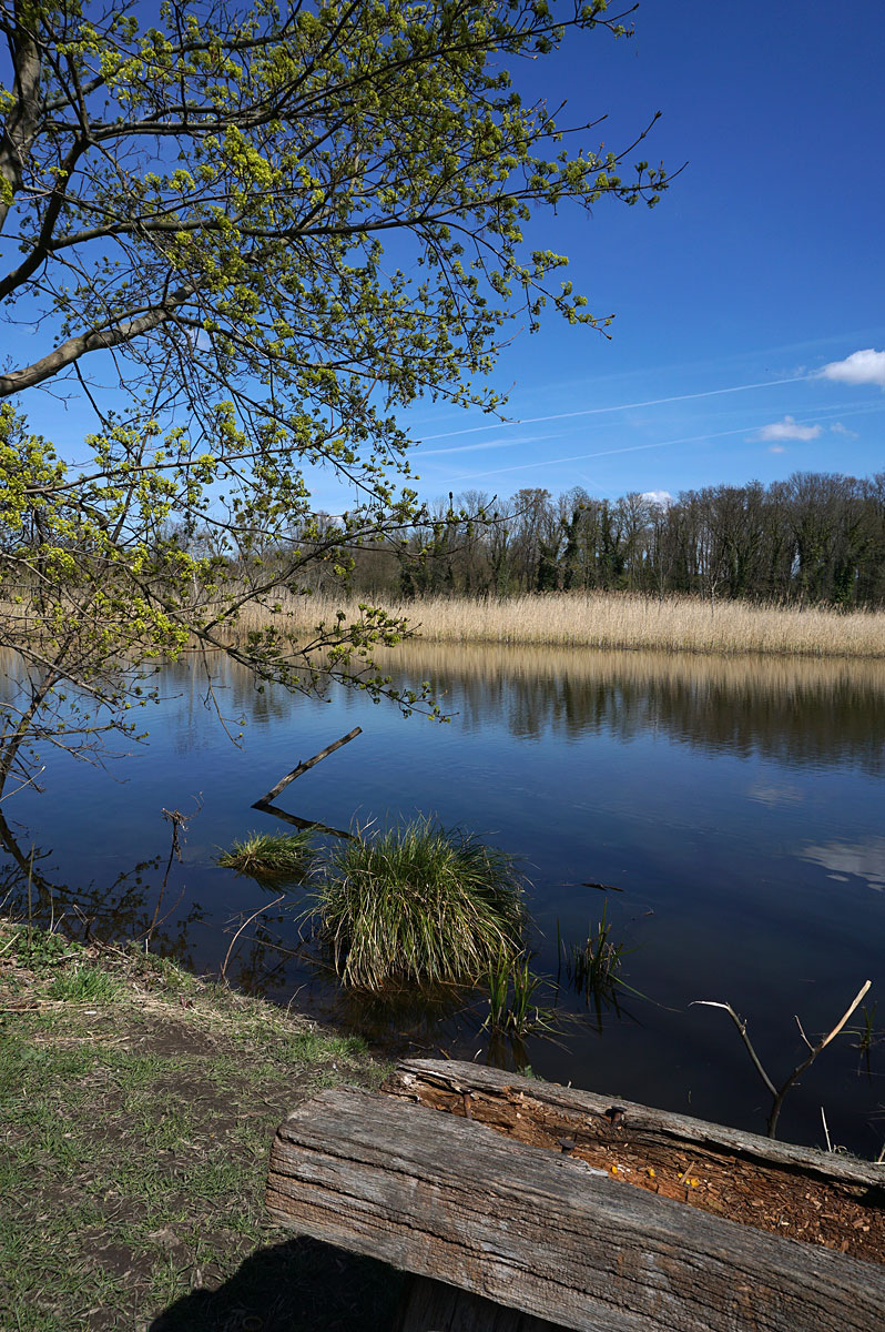 Wandern in Brandenburg: Glauer Berge und Blankensee