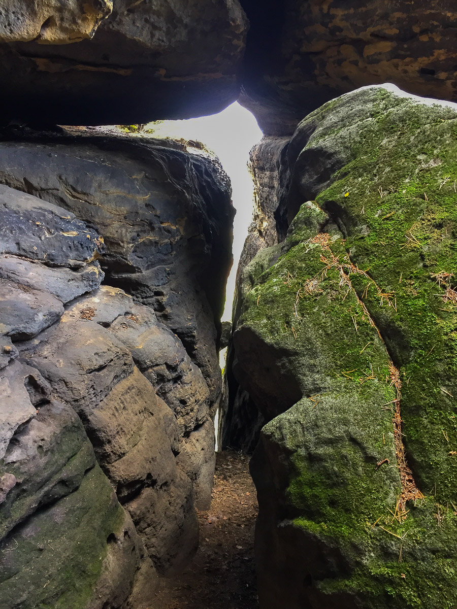 Wandern in der Sächsischen Schweiz: Pfaffenstein