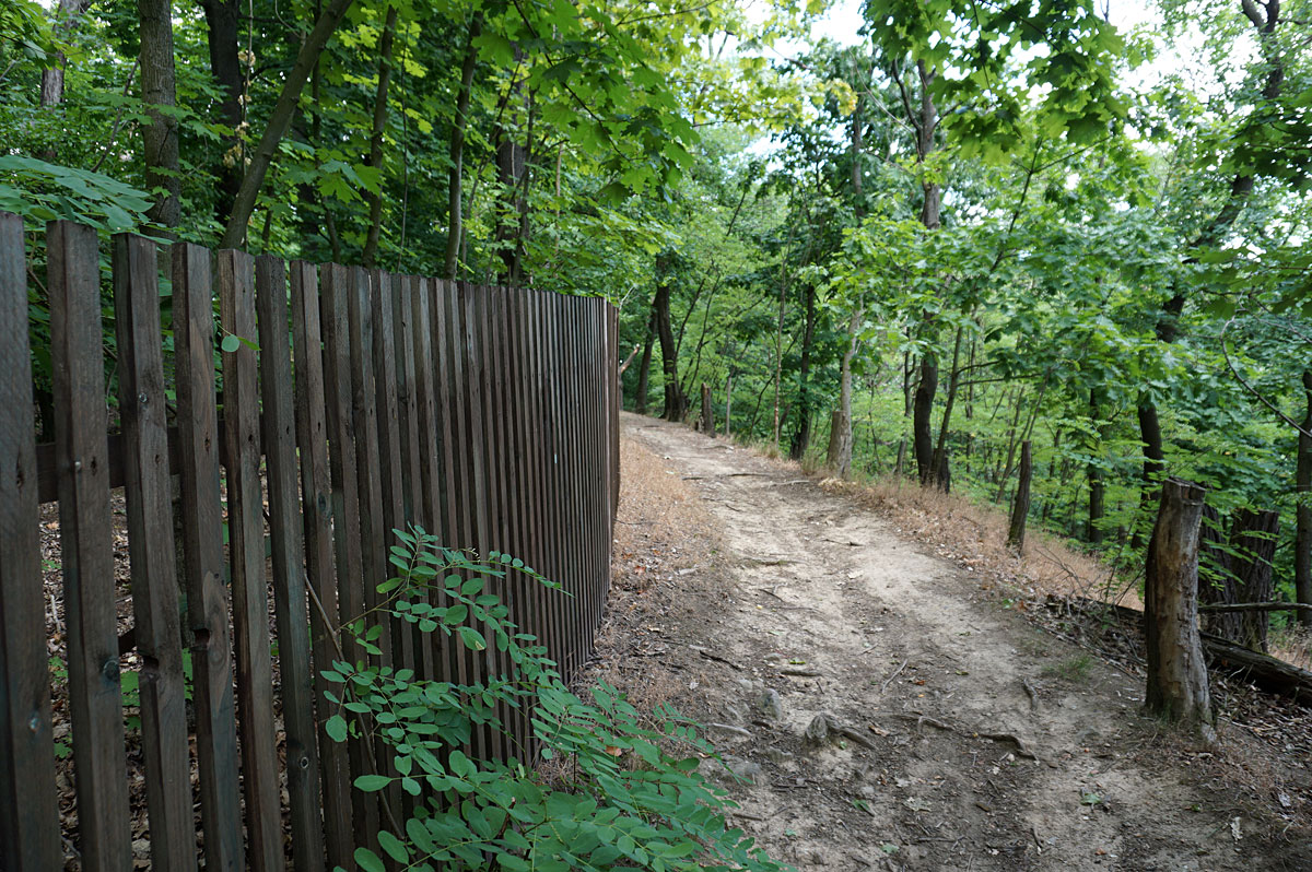 Elbhangwanderung bei Dresden