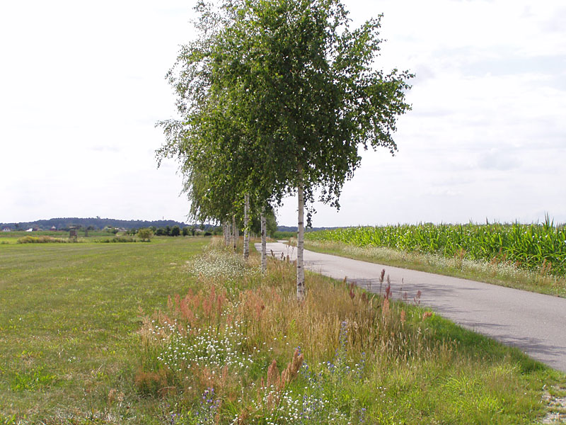 Haveldeich von Gutenpaaren nach Klein Kreutz