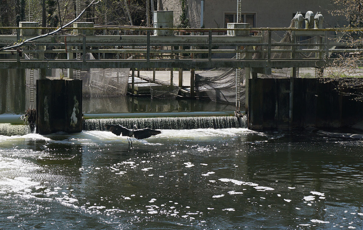 Glauer Berge und Blankensee Wandern in Brandenburg: Glauer Berge und Blankensee