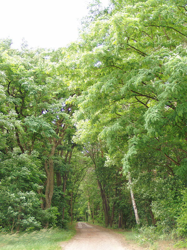 Von Storkow nach Wolzig – Salzwiesen, Treidelweg und Gipfelkreuz