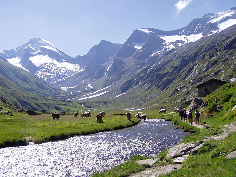 Wandern im Ahrntal: Röttal-Windtal-Runde über Rötalm und Lenkjöchlhütte