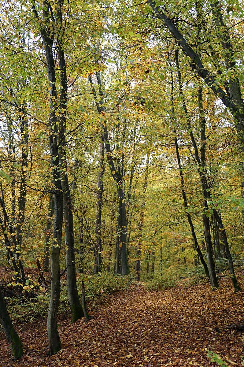 Wandern in Brandenburg: Schlaubetal