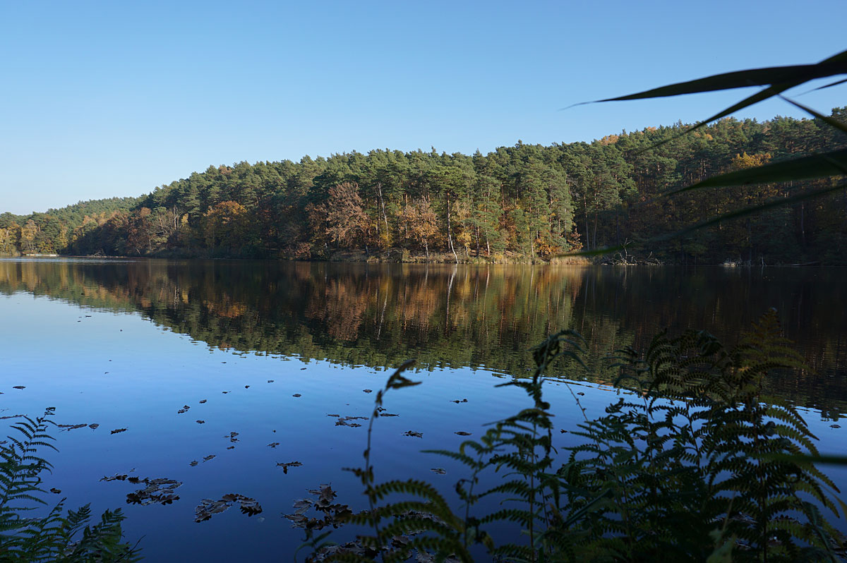 Wanderung um die Heideseen und auf den Wehlaberg bei Köthen