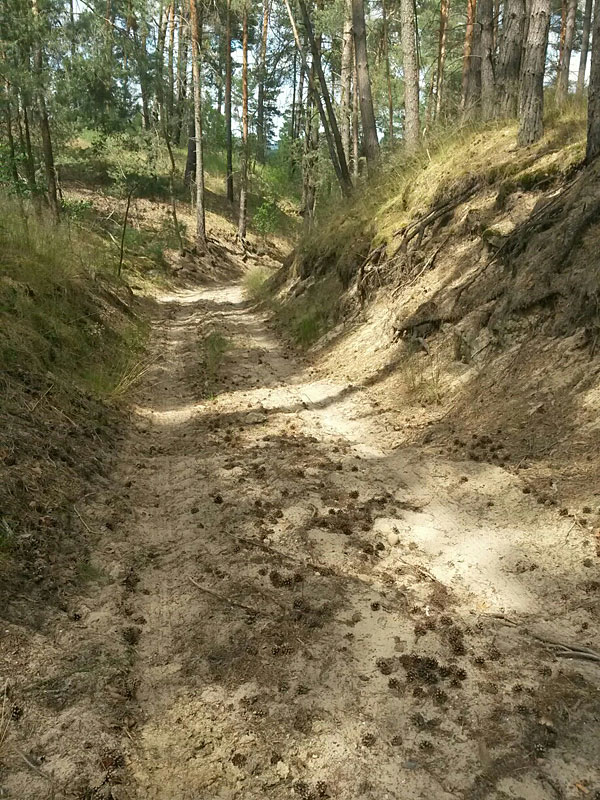 Von Dahme (Mark) nach Drahnsdorf