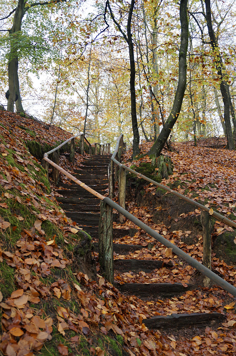 Wandern in Brandenburg: Schlaubetal