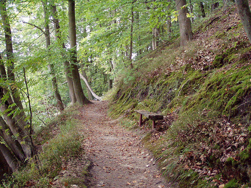 Von Lychen zu Zenssee und Platkowsee