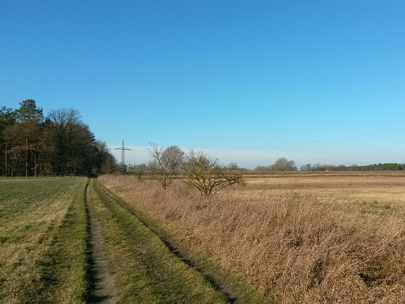 Von Ludwigsfelde nach Güterfelde