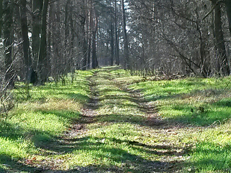 Von Ludwigsfelde nach Güterfelde