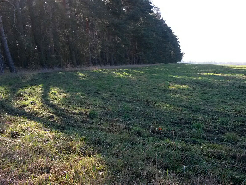 Von Ludwigsfelde nach Güterfelde