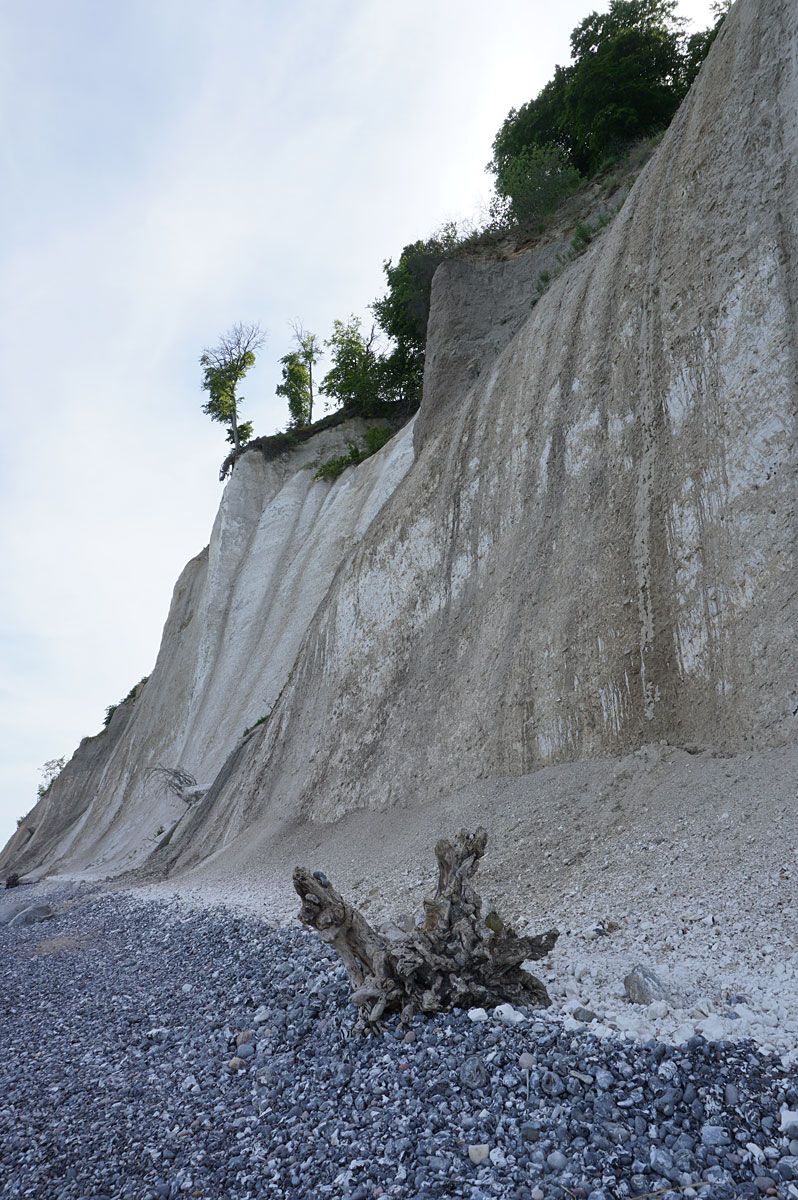Wandern auf Rügen: Kreidefelsen im Nationalpark Jasmund