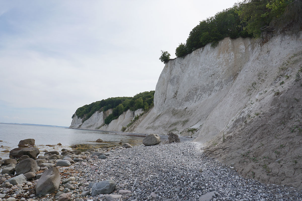 Wandern auf Rügen: Kreidefelsen im Nationalpark Jasmund