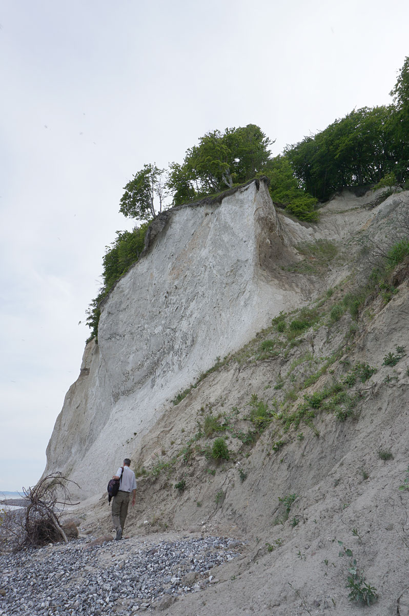 Wandern auf Rügen: Kreidefelsen im Nationalpark Jasmund