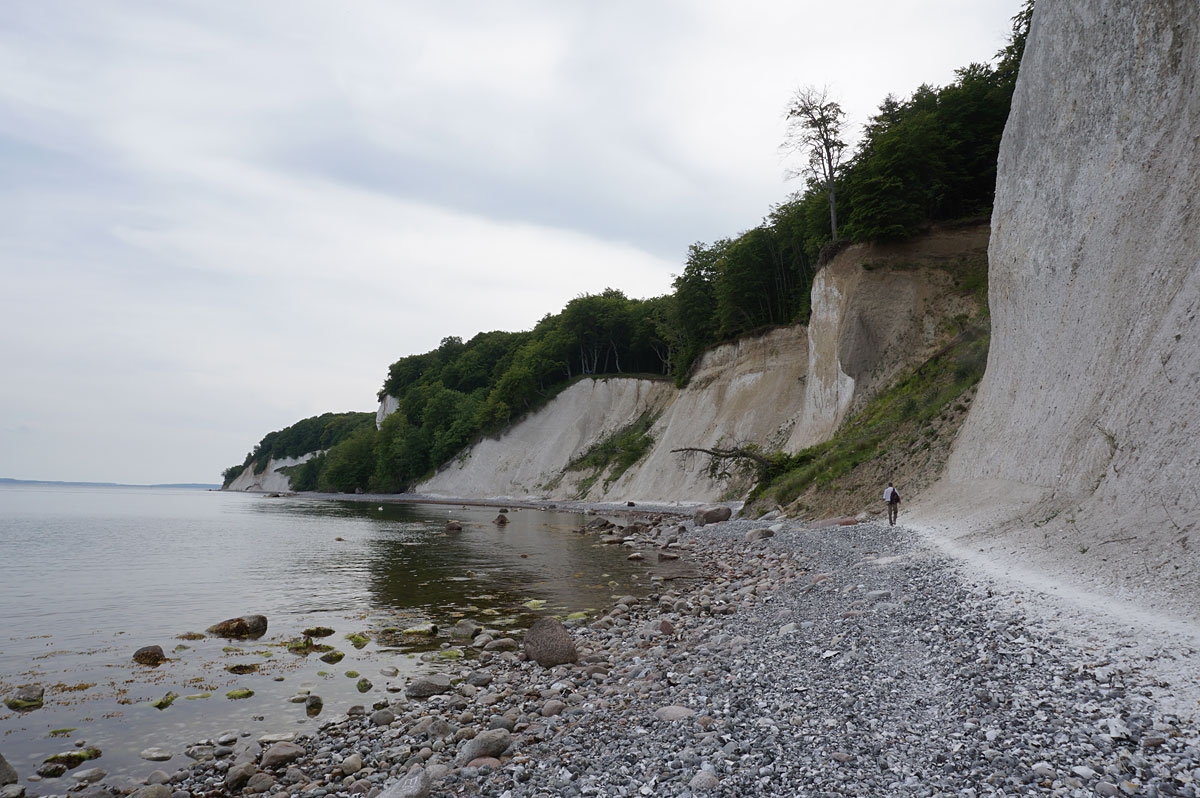 Wandern auf Rügen: Kreidefelsen im Nationalpark Jasmund