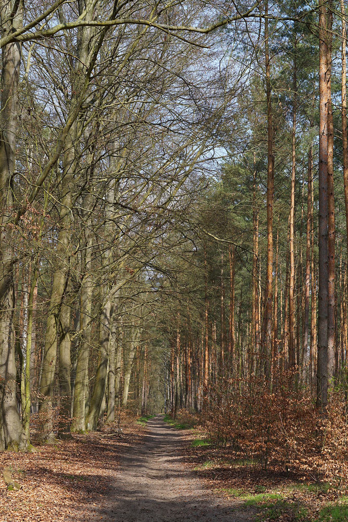 Wandern bei Berlin: Torfbusch und Selchower See