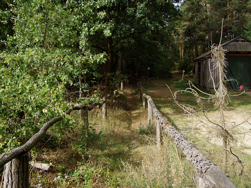 Kleine Schorfheide ab Hammelspring