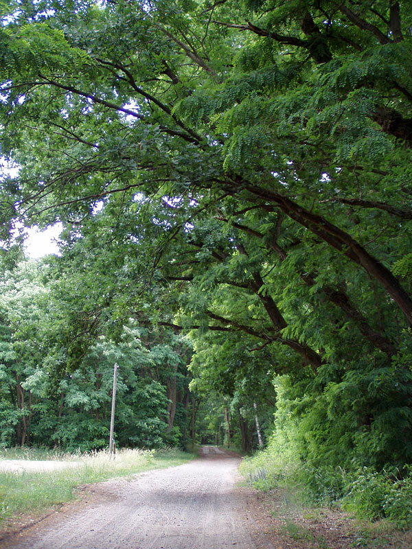 Von Storkow nach Wolzig – Salzwiesen, Treidelweg und Gipfelkreuz