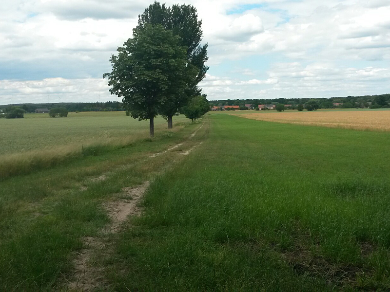 Von Dahme (Mark) nach Drahnsdorf