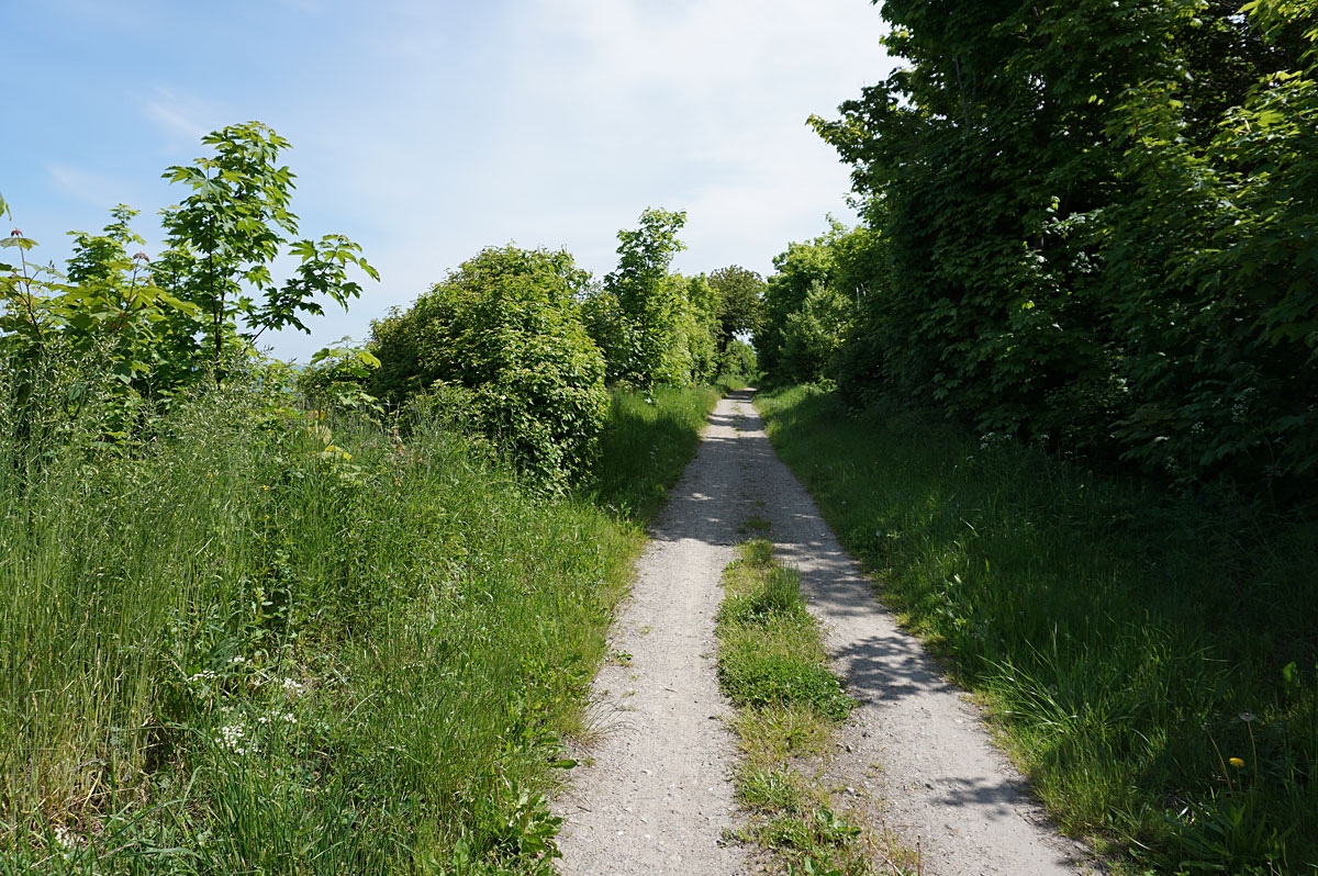 Wandern auf Rügen: Halbinsel Wittow von Schwarbe nach Kap Arkona