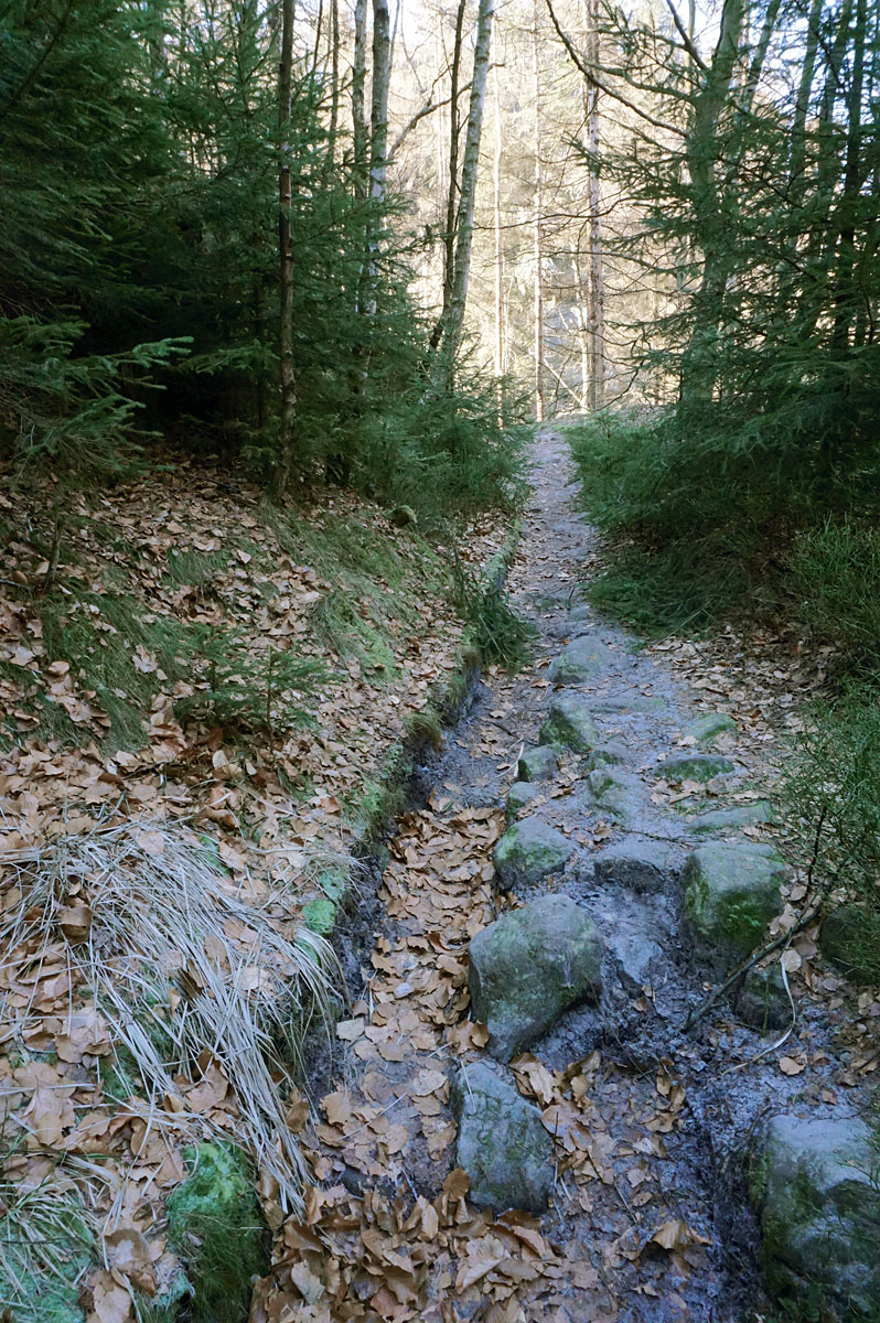 Wandern in der Sächsischen Schweiz: Carolafelsen und Schrammsteine ab Schmilka