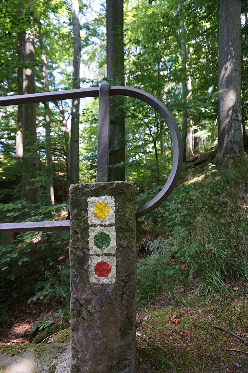 Elbhangwanderung bei Dresden