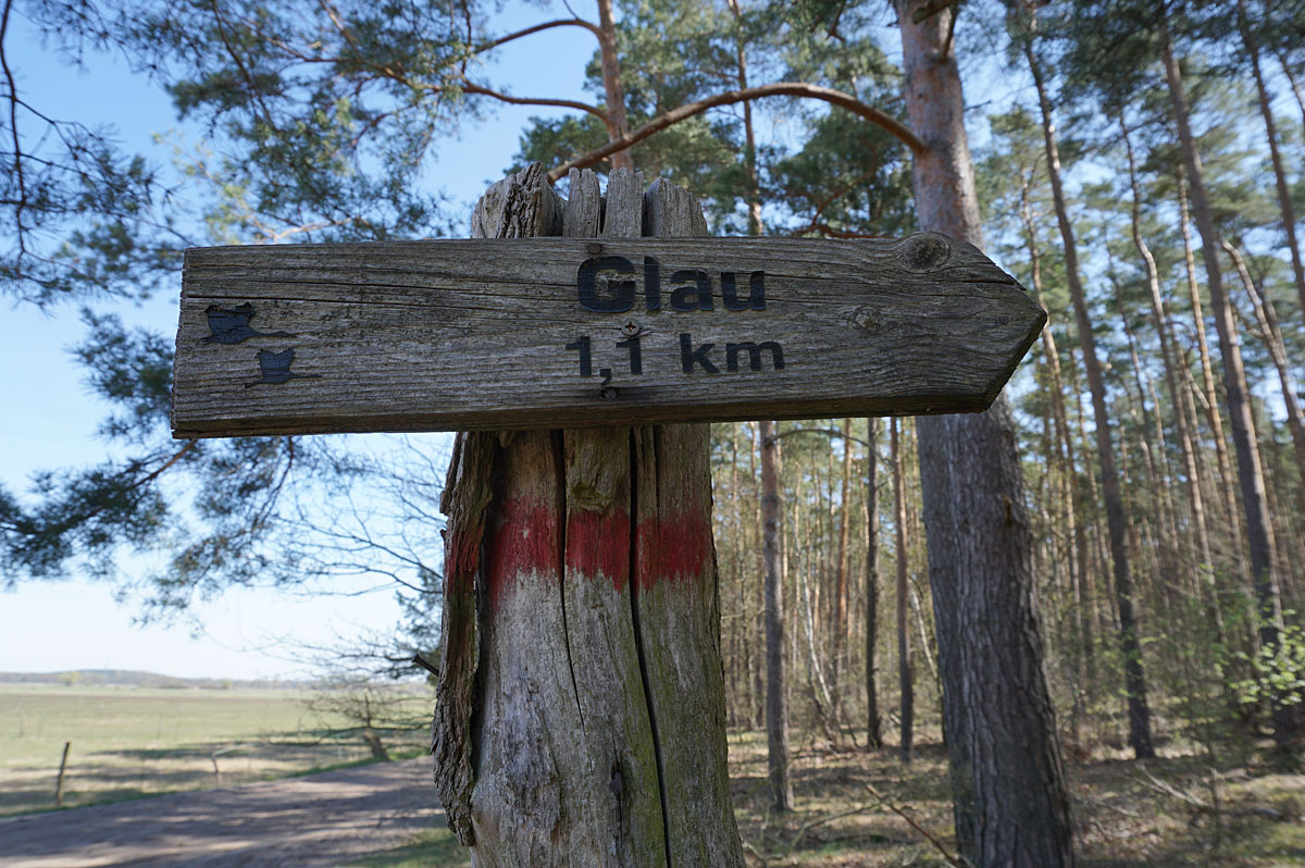 Wandern in Brandenburg: Glauer Berge und Blankensee