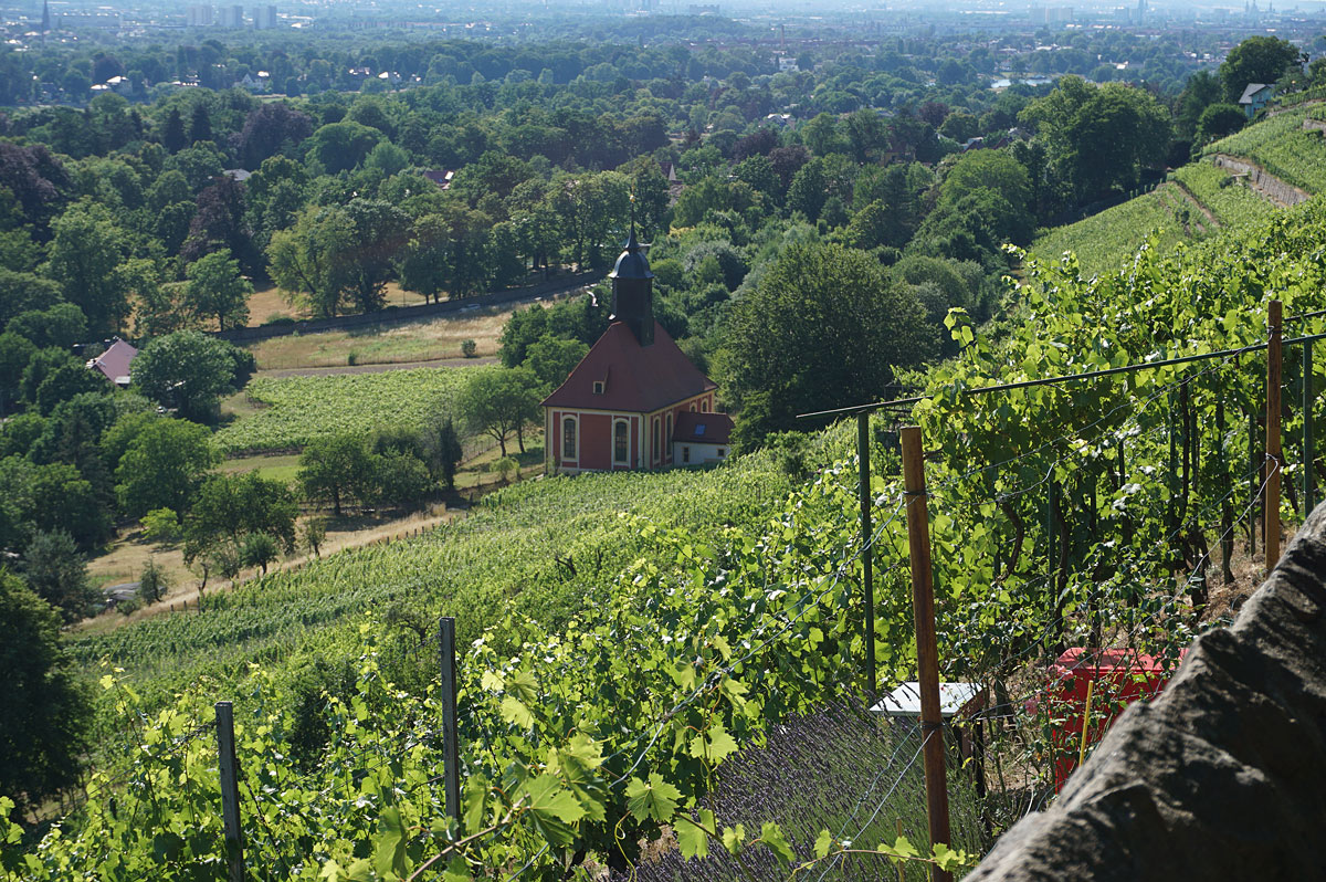 Elbhangwanderung bei Dresden