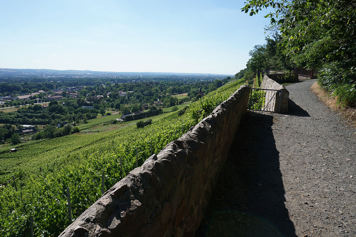 Elbhangwanderung bei Dresden