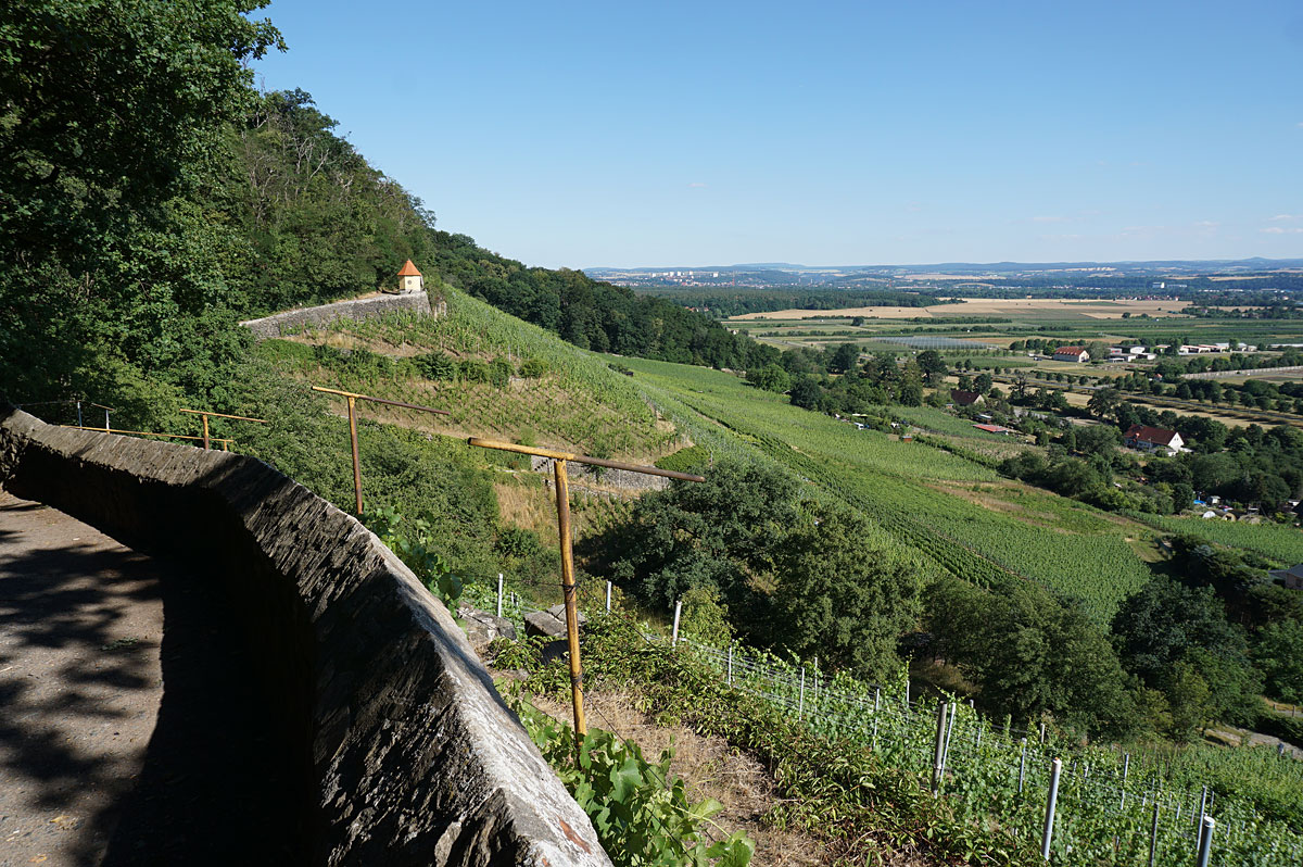 Elbhangwanderung bei Dresden