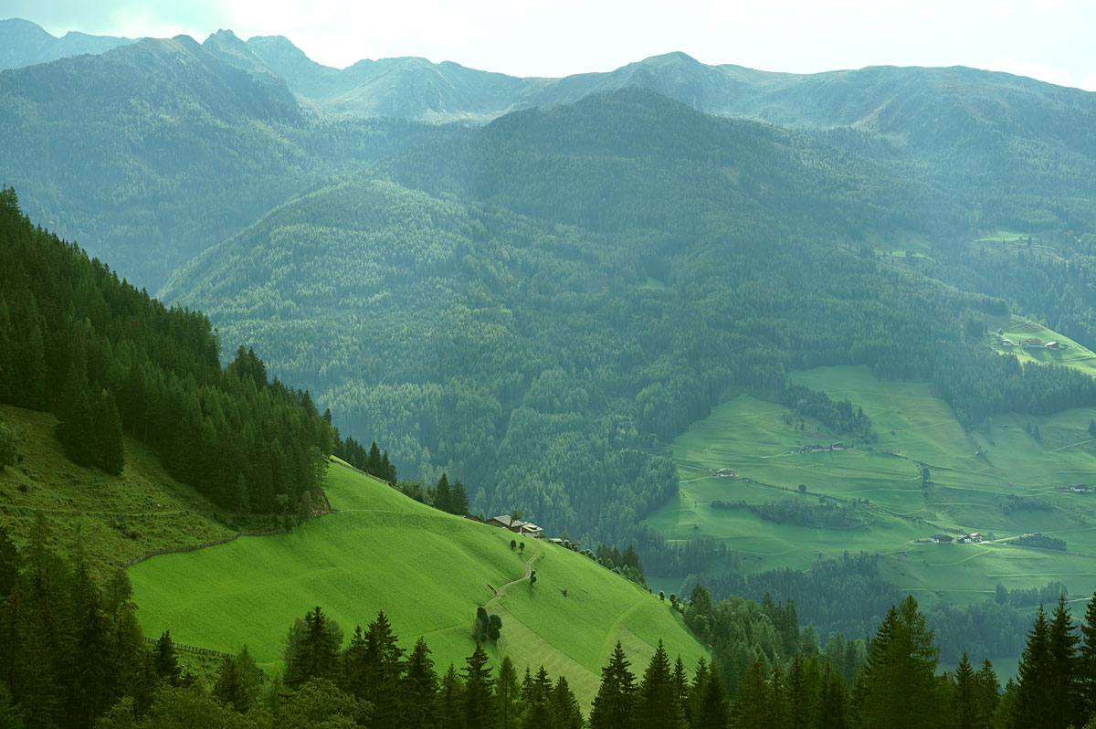 Wandern im Ahrntal: Trippachtal zur Kegelgasslalm