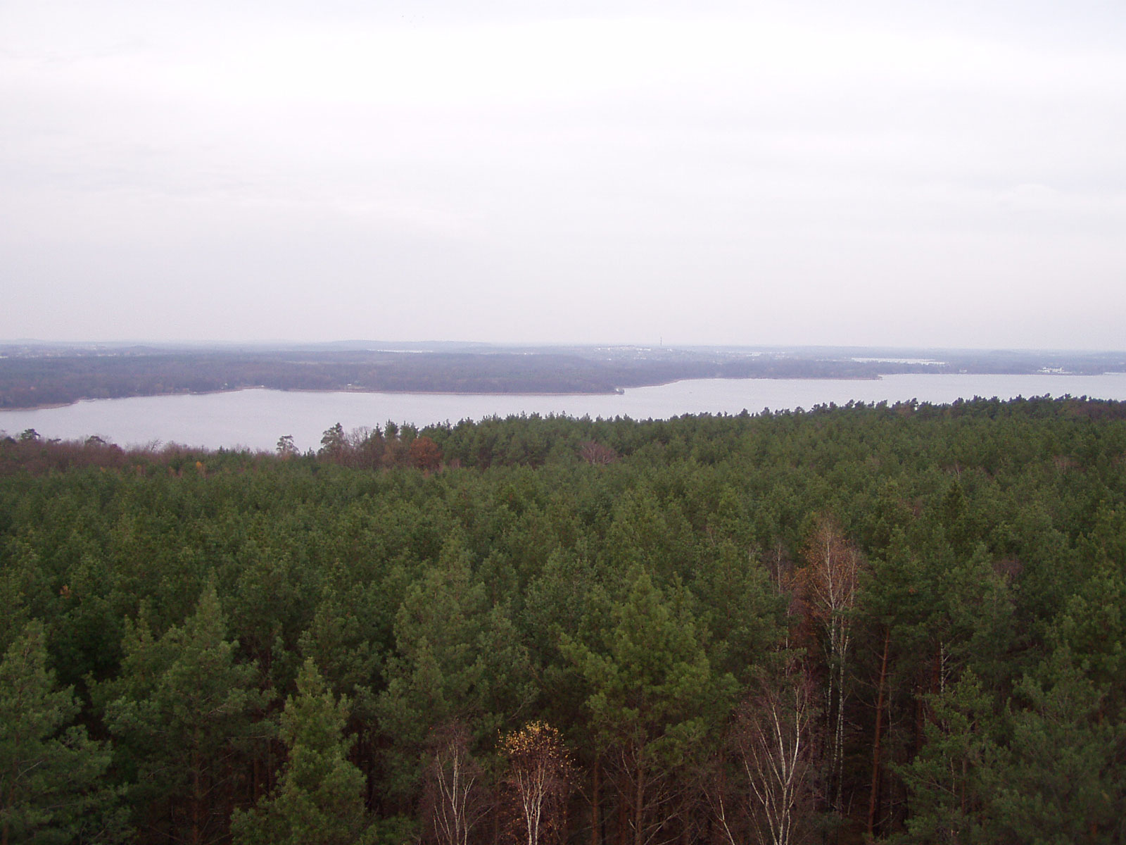 Über den Wietkiekenberg nach Petzow