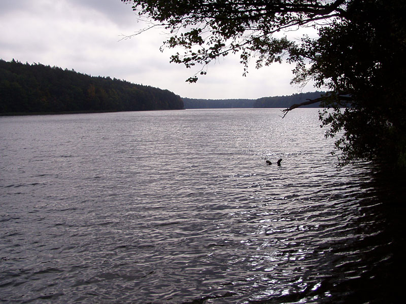 Von Lychen zu Zenssee und Platkowsee